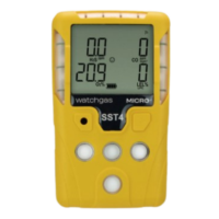 WatchGas SST4-Serie